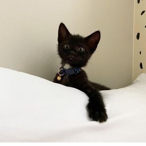 Meet your Posher, Juan r